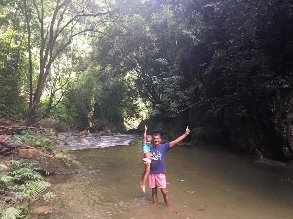 Into the Jungle.
