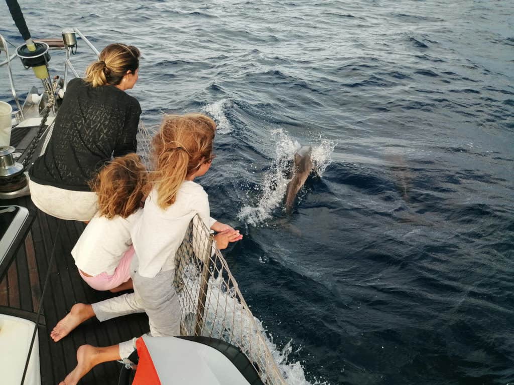 Delfines jugando en la proa del Saramia.