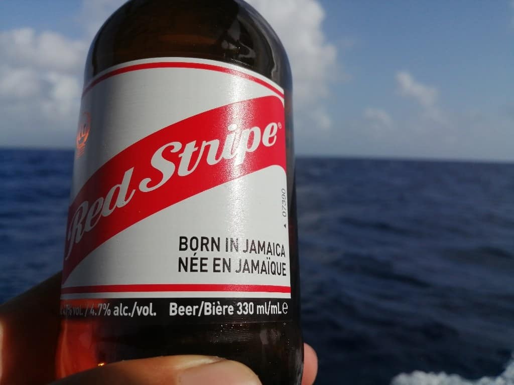 Día 05: Jamaica a la vista!