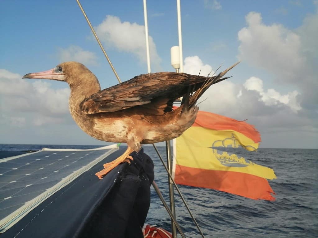 Día 02: Esperando los vientos fuertes.