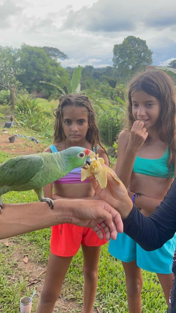 Loros en Tierra del Encanto.