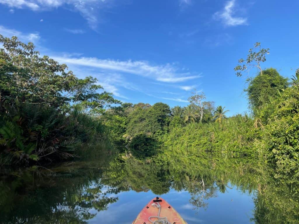 Excursión en Kayak a la selva.
