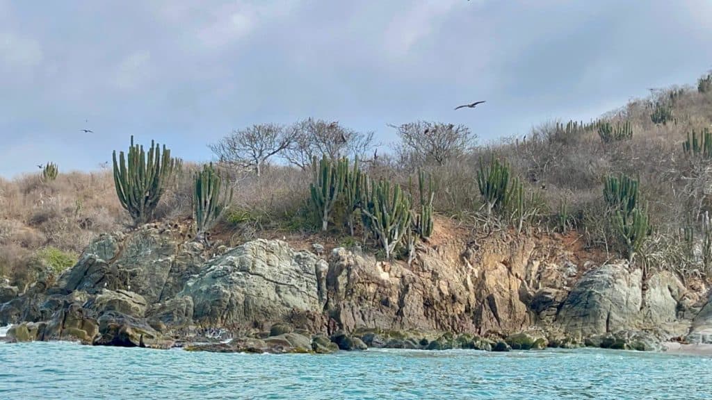 Isla Cocinas.